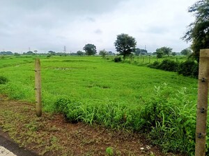  Plot For Sale in Kumhari
