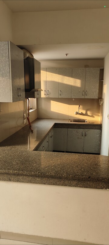 Kitchen in 2 BHK Apartment at Emaar The Palm Drive-Palm Studios, Sector 66 – for Rent