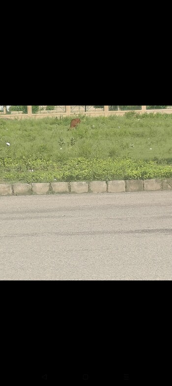 Plot for Sale in Sector 75, Faridabad