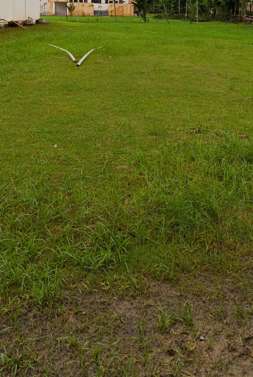 Plot For Sale in Sector 21C