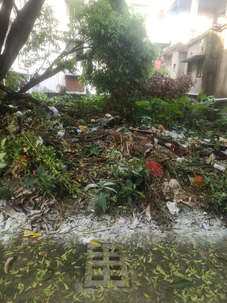 Garden, sahapur  1620 Sq.Ft. Plot In Sahapur Kolkata 9142174