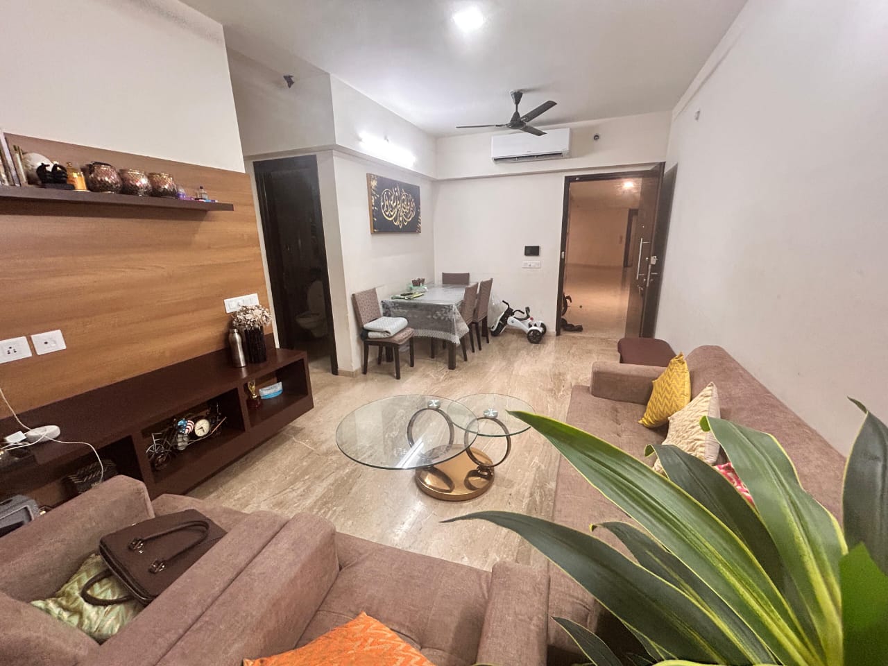 1 BHK Apartment For Rent in SIPL Sarit