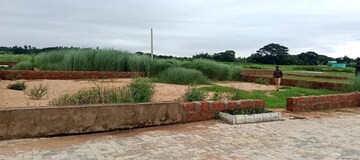 Plot Area in  Plot at Cuttack Road – for Sale