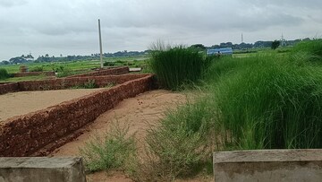 Plot Area in  Plot at Cuttack Road – for Sale