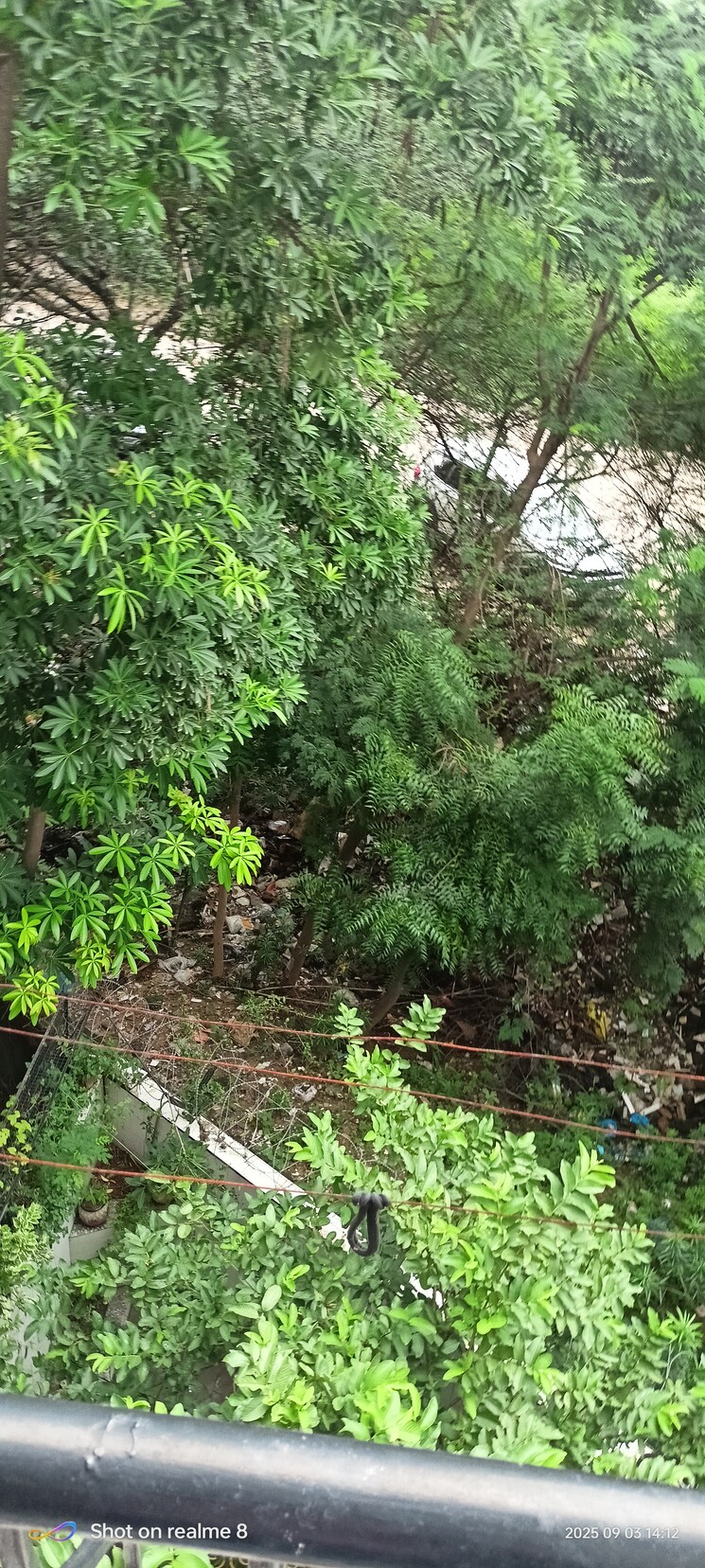 Garden, sector 52a 1.5 Bedroom 640 Sq.Ft. Independent House In Sector 52a Gurgaon 9142999