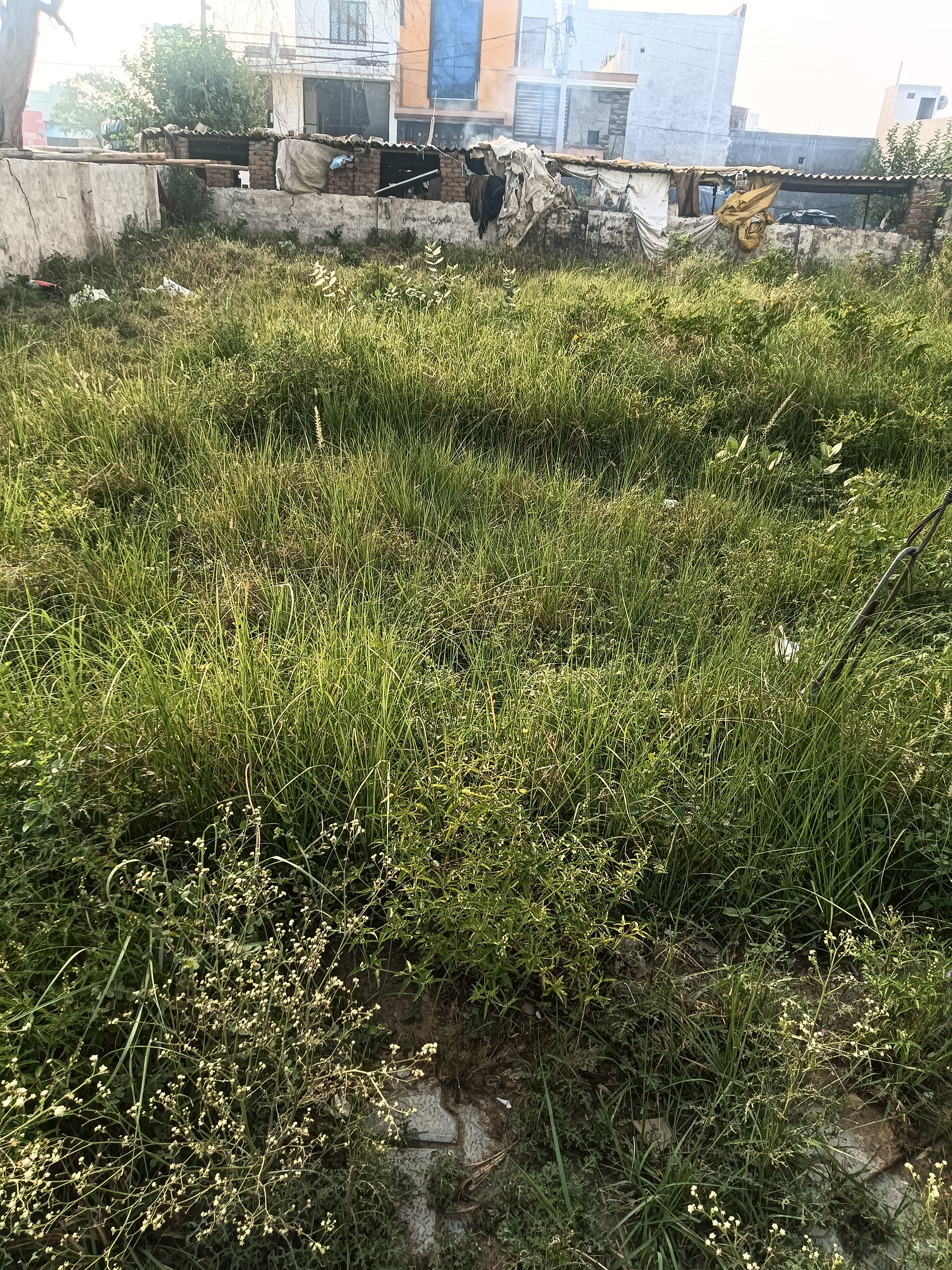 Plot For Sale in Khatushyam gp