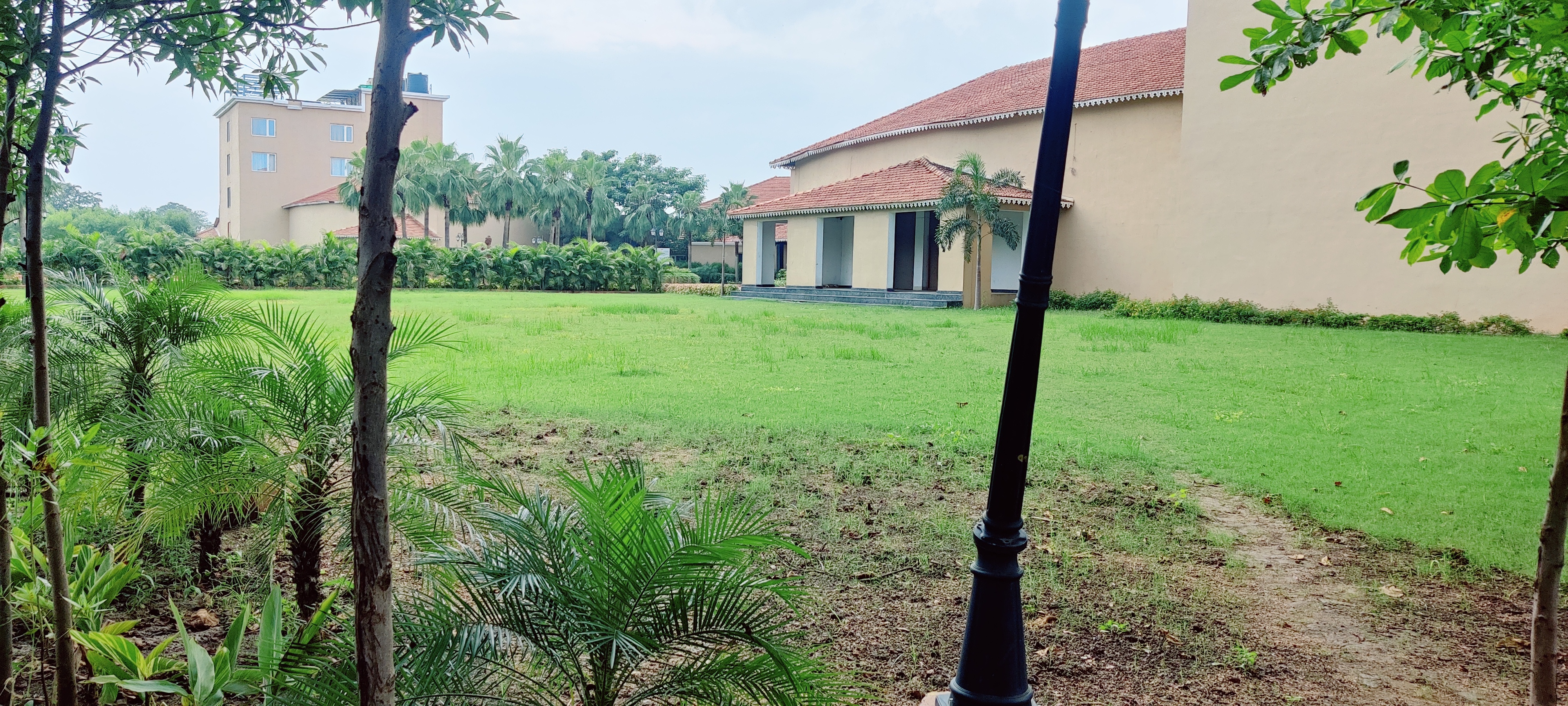 Plot For Sale in Plot For Sale In Old Dham