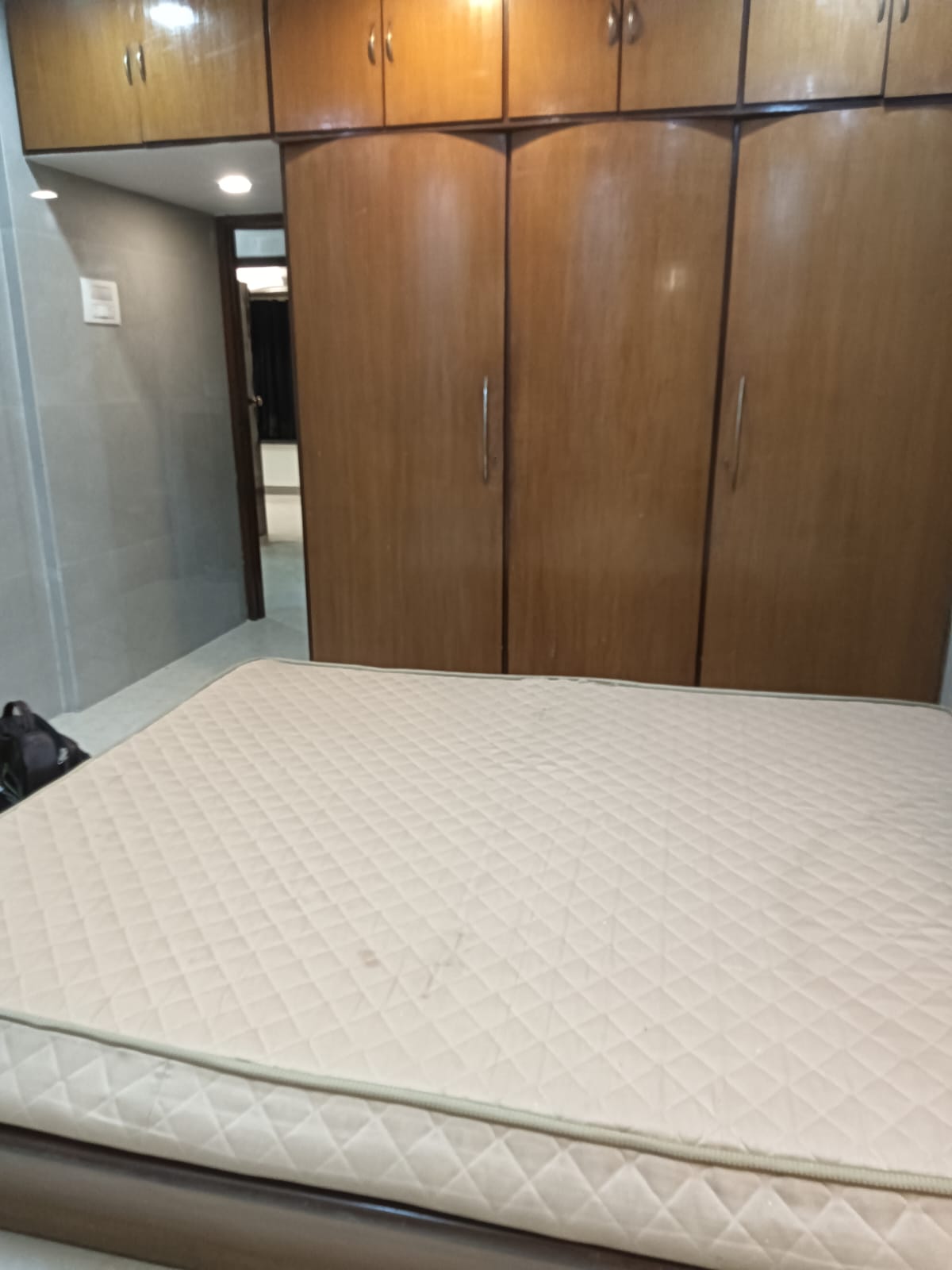 3 BHK Apartment For Rent in Kamala Khandelwal Apartments