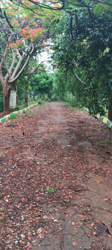 Plot Area in  Plot at Nadaprabhu Kempegowda Layout, Kengeri – for Sale