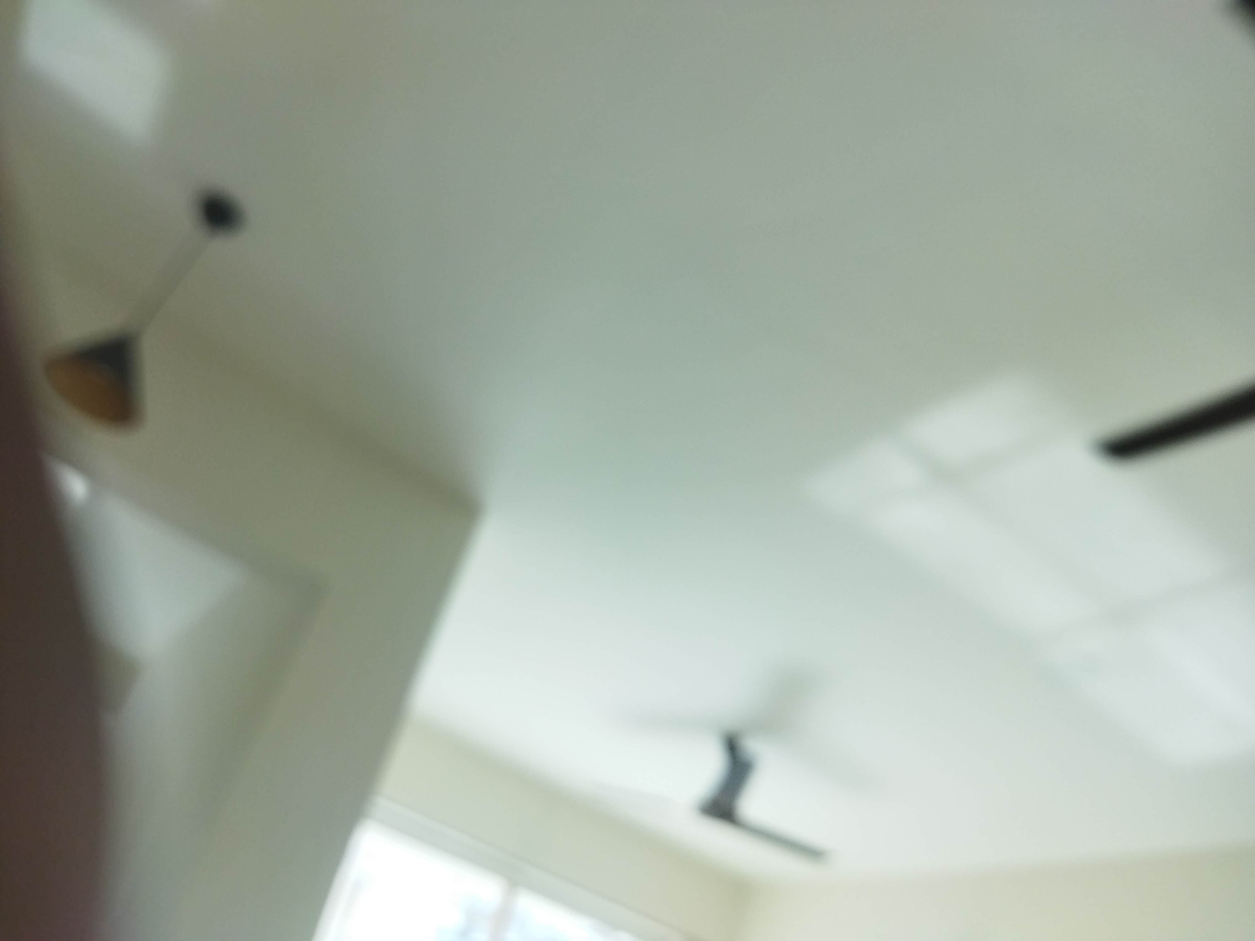 3 BHK + Study Room Builder Floor For Rent in Signature Global Park