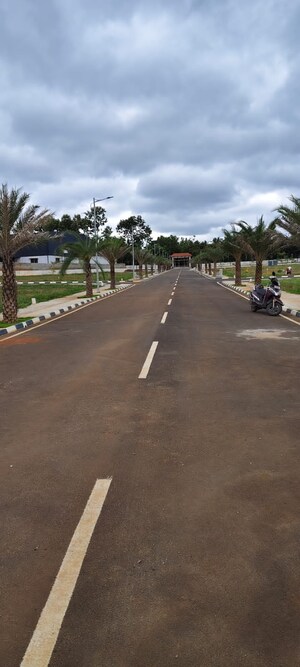  Plot For Sale in Mysore Road