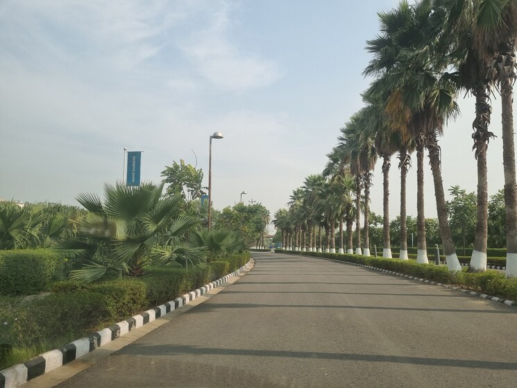 Garden, sector 85 4 Bedroom 3500 Sq.Ft. Apartment In Sector 85 Mohali 9143842