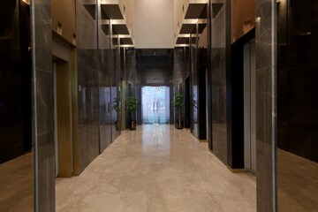 2 BHK Apartment For Rent in Lodha Primero, Mahalaxmi