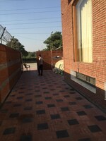 450 Sq.Mt. Plot in Sector 31