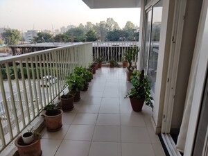 Balcony in 2 BHK Apartment at Motia Royal Estate, Lohgarh – for Rent