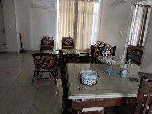 Team Area in 2 BHK Apartment at Motia Royal Estate, Lohgarh – for Rent