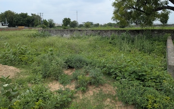 Plot For Sale in Sector 17 Yamuna Expressway