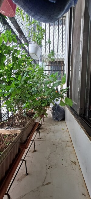 Balcony in 2.5 BHK Apartment at Natu 9 Riviera Hills, Kalwa – for Sale