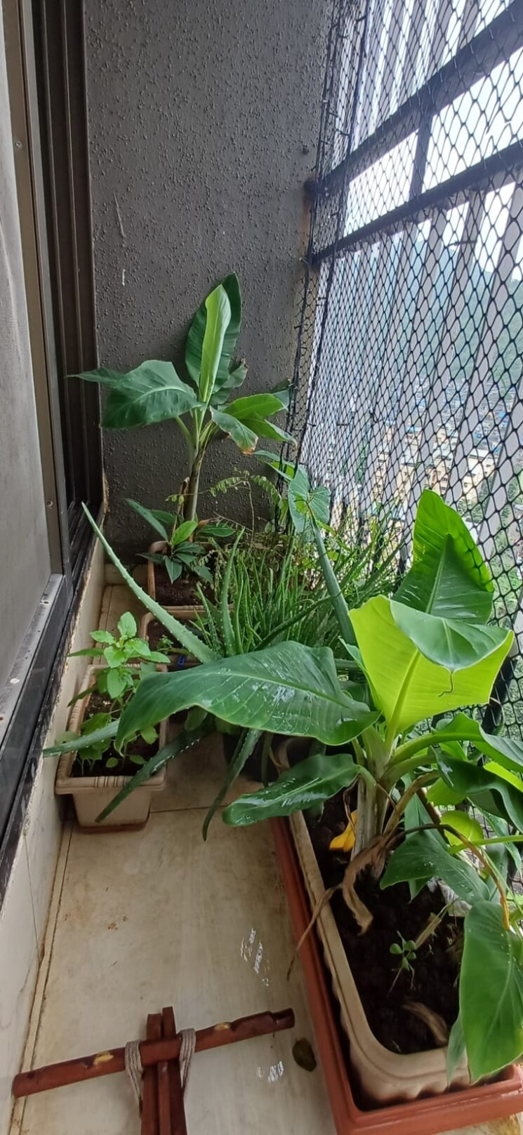 Balcony, natu-9-riviera-hills 2.5 Bedroom 65 Sq.Mt. Apartment In Kalwa Thane 9144896