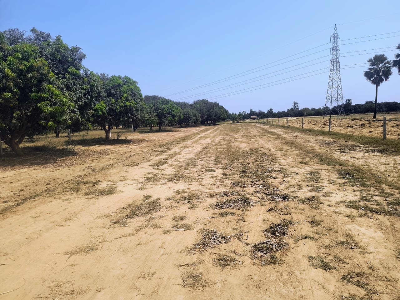 Plot For Sale in Kanpur Road