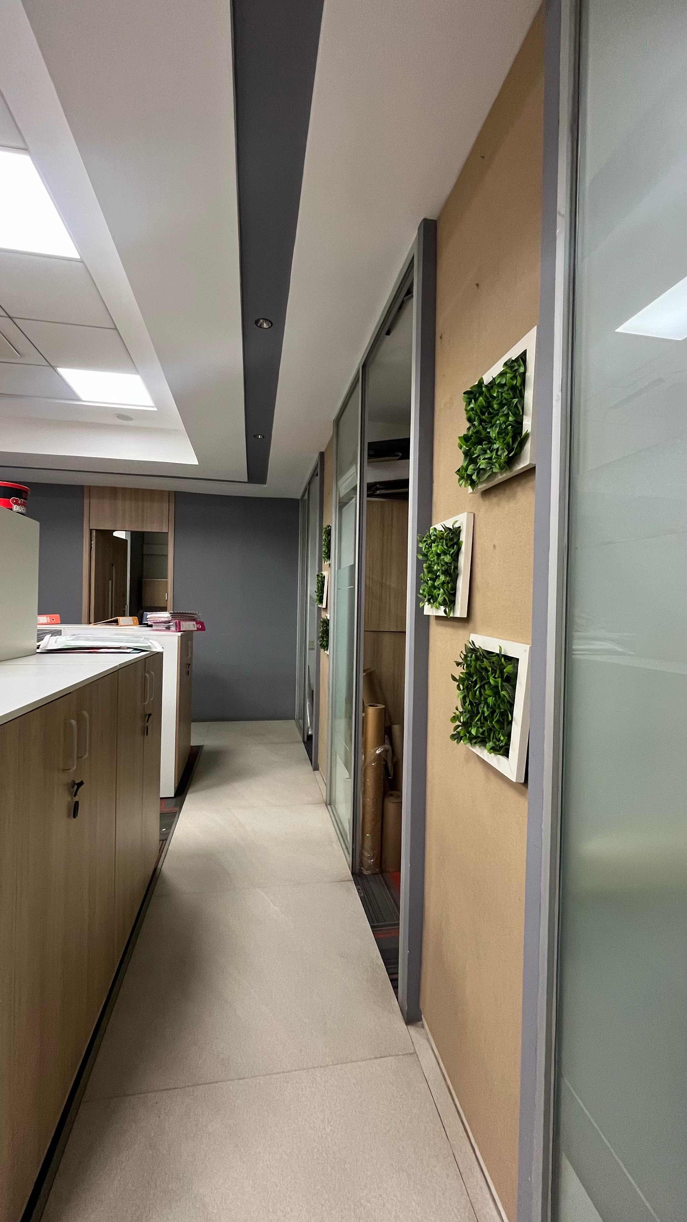 Office Space For Rent in Crystal Paradise