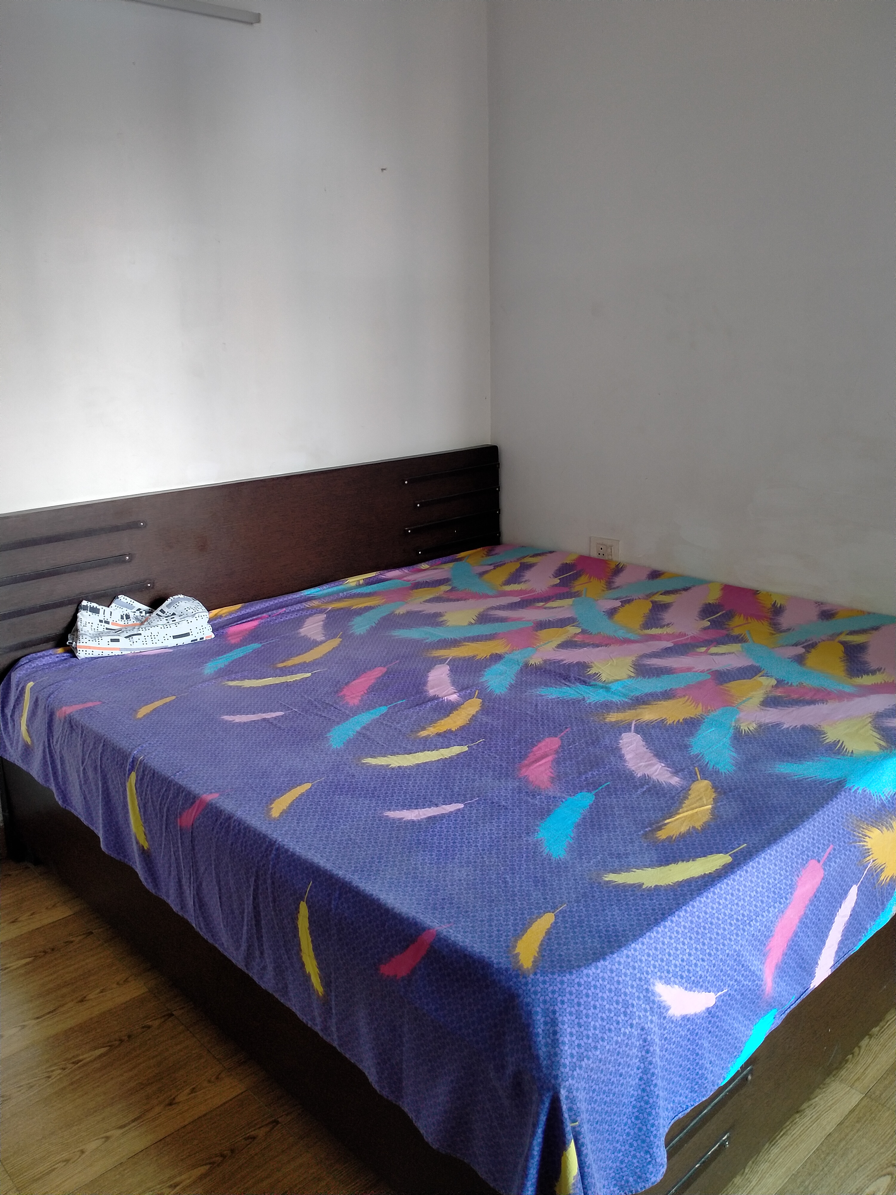 2 BHK Apartment For Rent in Tulip Lemon