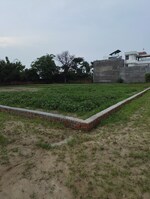 900 Sq.Ft. Plot in Plots For Sale 