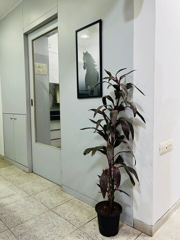 Staircase in 2 BHK Apartment at Andheri West – for Rent