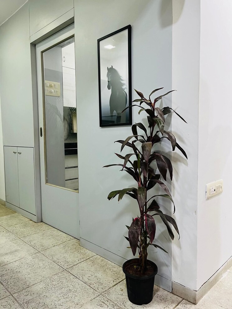 undefined, andheri west 2 Bedroom 850 Sq.Ft. Apartment In Andheri West Mumbai 9145577