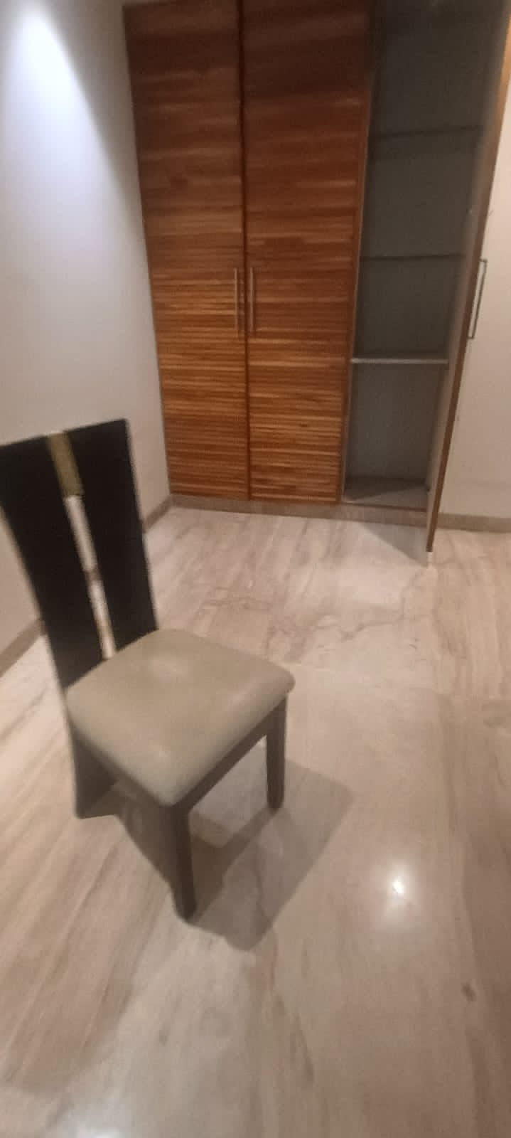 3 BHK + Study Room Builder Floor For Rent in Greater Kailash 2