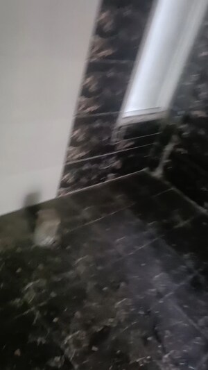 Staircase in 2 BHK Apartment at Migsun Roof, Raj Nagar Extension – for Sale