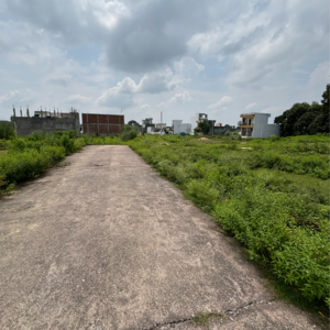 Plot Area in  Plot at Iim Road – for Sale