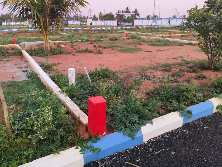 Garden, chandapura anekal road  1200 Sq.Ft. Plot In Chandapura Anekal Road Bangalore 9145868