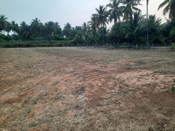 Plot Area in  Plot at Veerakeralam – for Sale