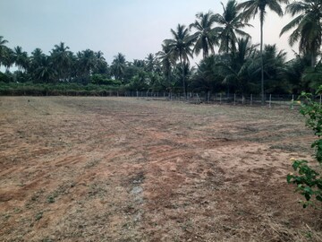 Plot Area in  Plot at Veerakeralam – for Sale