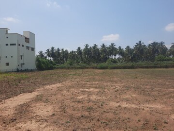 Plot Area in  Plot at Veerakeralam – for Sale