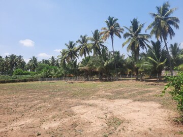Plot Area in  Plot at Veerakeralam – for Sale