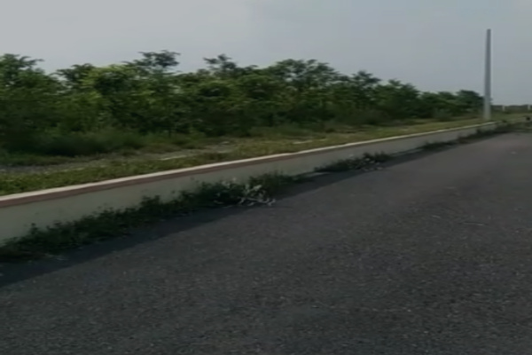 Plot For Sale in Sree Maruthinagar Sandal 