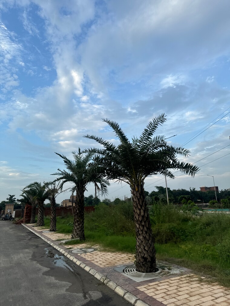 Other, sector 40 3 Bedroom 1115 Sq.Ft. Builder Floor In Sector 40 Panipat 9146722