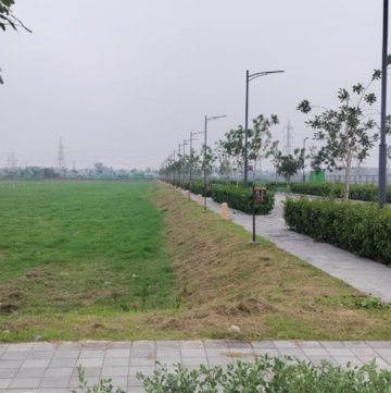 Plot Area in  Plot at Tdi City – for Sale