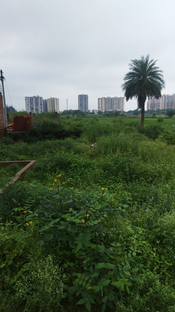 Plot Area in  Plot at Nandgram – for Sale
