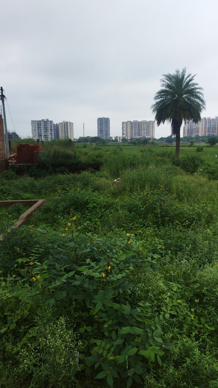 undefined, nandgram  100 Sq.Yd. Plot In Nandgram Ghaziabad 9147390