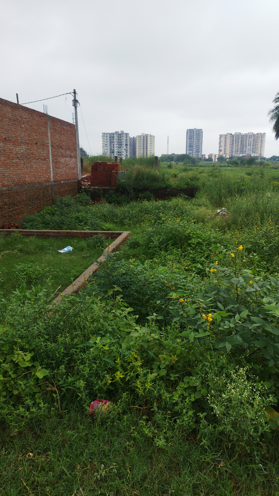 Plot For Sale in Krishna Kunj,raj Nagar ex