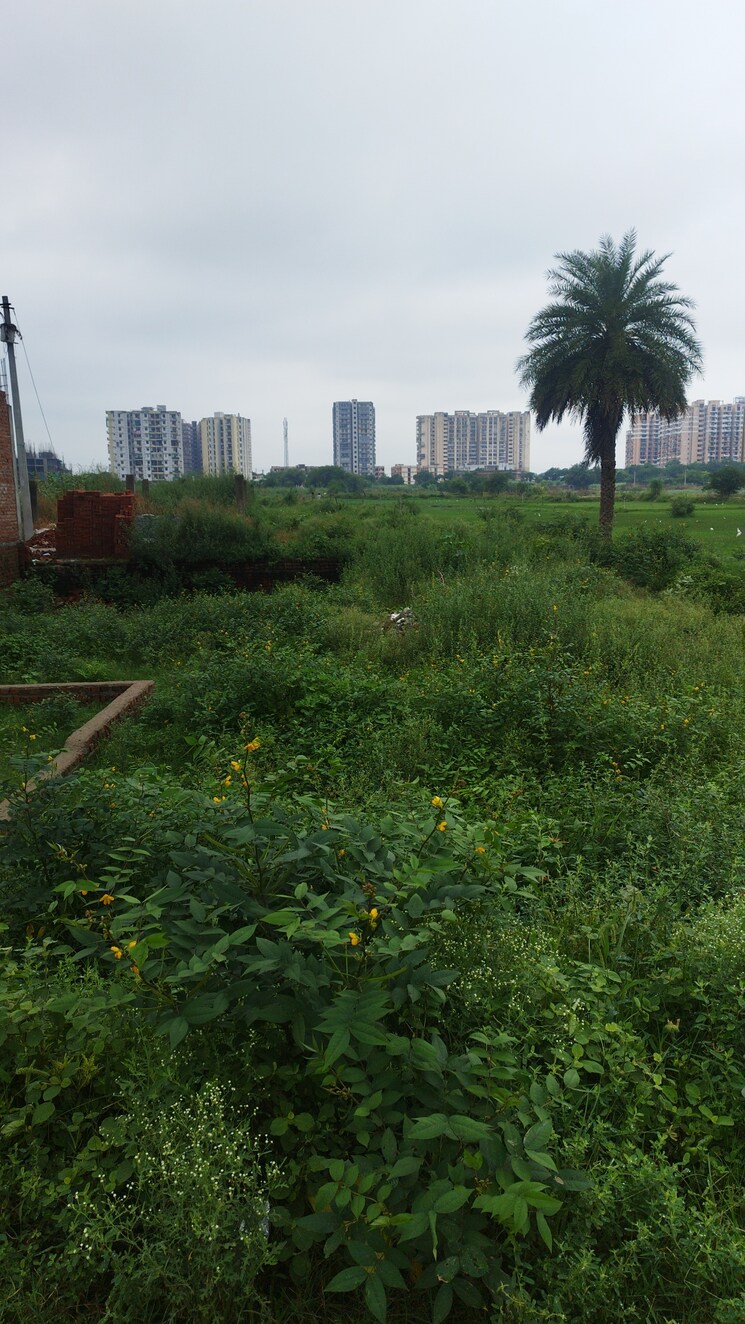 undefined, nandgram  100 Sq.Yd. Plot In Nandgram Ghaziabad 9147448
