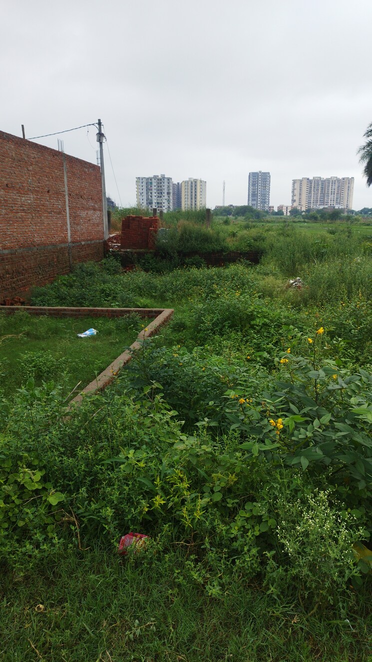 Garden, nandgram  100 Sq.Yd. Plot In Nandgram Ghaziabad 9147448