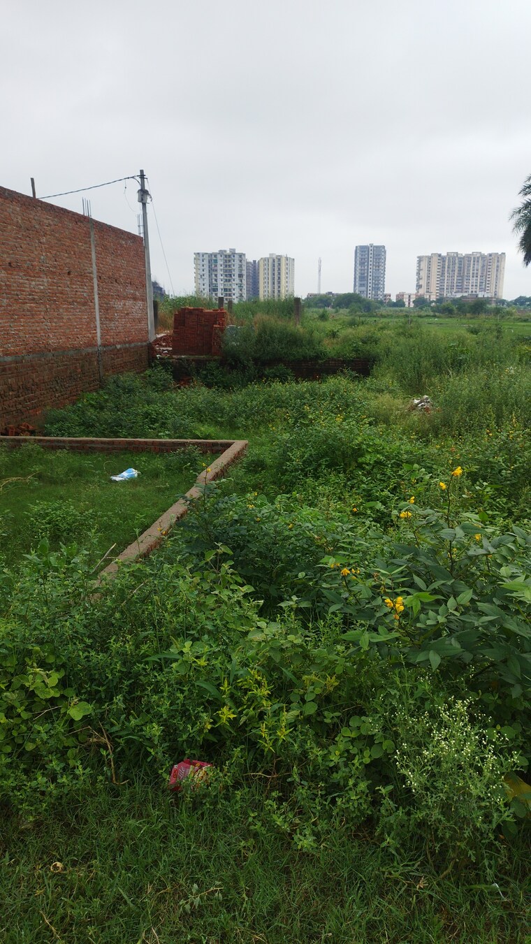 Garden, nandgram  100 Sq.Yd. Plot In Nandgram Ghaziabad 9147448