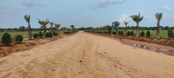 Plot Area in  Plot at Aroor – for Sale