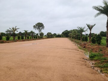 Plot Area in  Plot at Aroor – for Sale