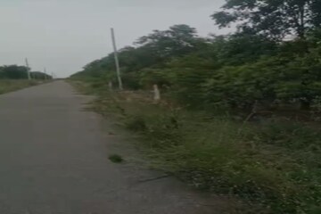 Plot Area in  Plot at Rajapet – for Sale
