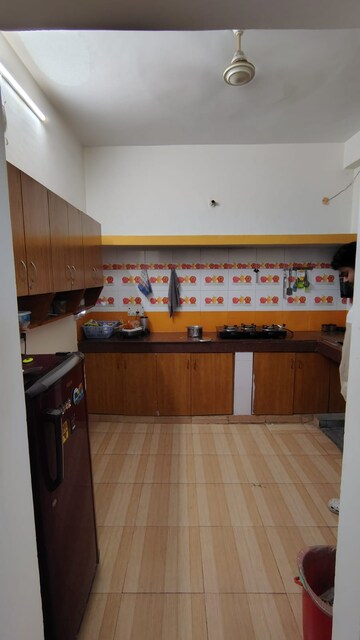 Kitchen in 2 BHK Builder Floor at RWA Apartments Sector 50, Sector 50 – for Rent